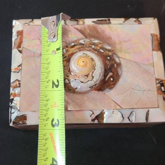 Turbo Tiger Shell Vintage Penshell Box - Picture 9 of 11